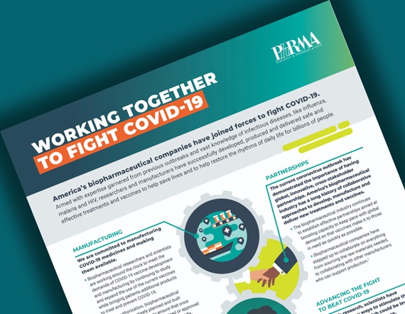 A teaser image of PhRMA's fact sheet entitled Working Together to Fight COVID-19