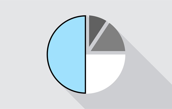Graphic of a pie chart