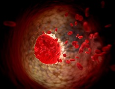 Microscopic view of a blood cell
